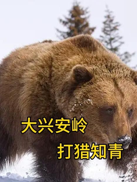 大兴安岭打草刀图片