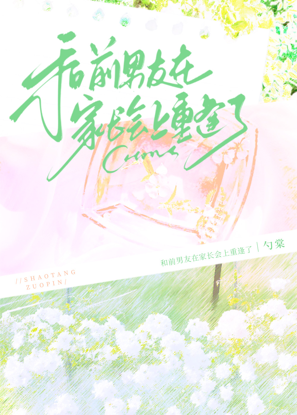 在家长会上遇前任勺棠剧透