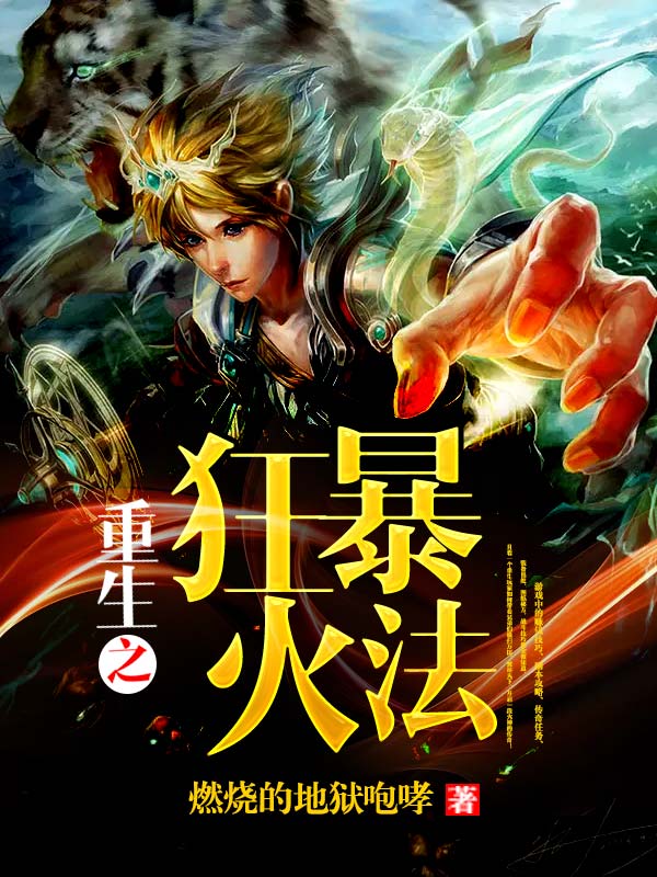 重生之狂暴火法小说介绍