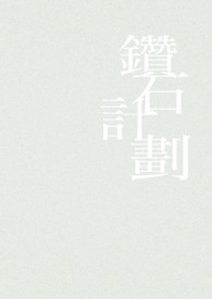 砖石利润