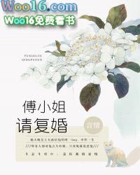傅少宋小姐